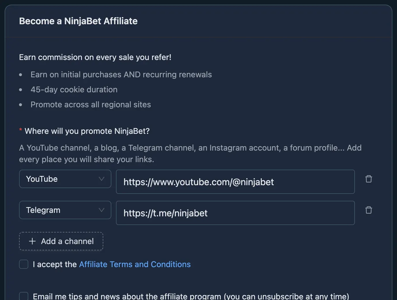 The program sign-up form with a YouTube and a Telegram channel