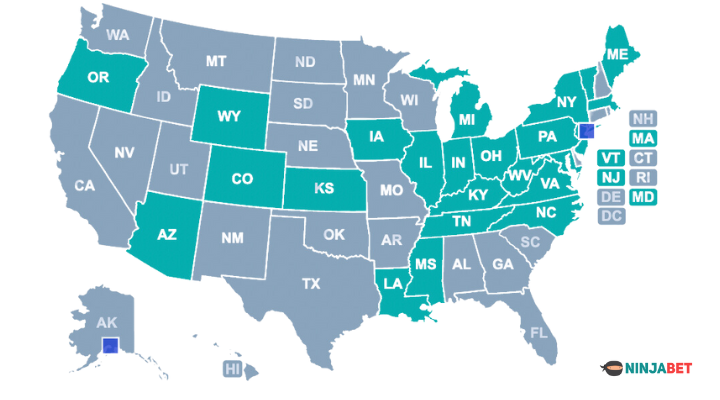 new-side-hustle-matched-betting-sportsbook-ninjabet-which-us-states